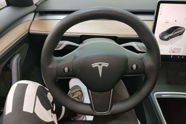 Tesla Model 3 2022 #11 Tesla Model 3 2022 car image #11