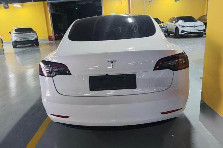 Tesla Model 3 2020 #6 Tesla Model 3 2020 car image #6