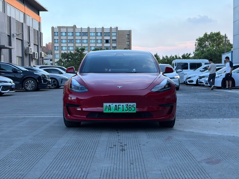 Tesla Model 3 2021 car image 