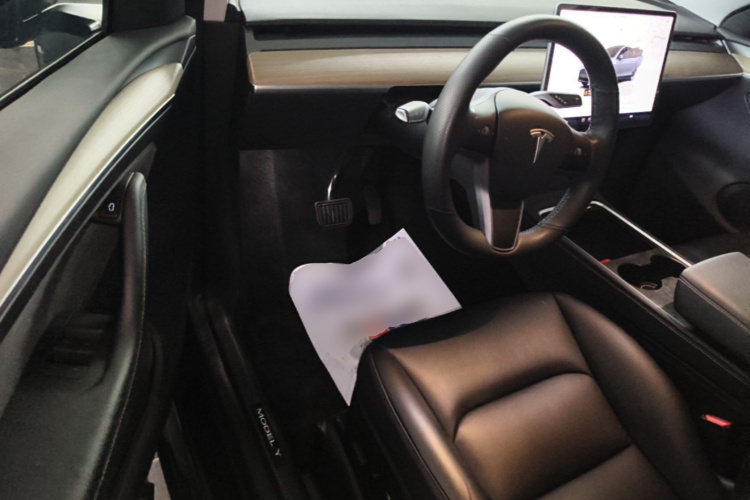 Tesla Model Y 2022 immagine di auto #16