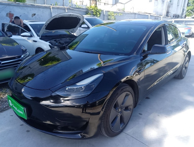 Tesla Model 3 2022 Tesla Model 3 2022 immagine di auto