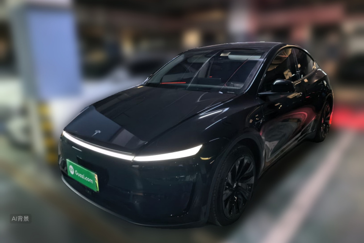 Tesla Model Y 2025 car image #2