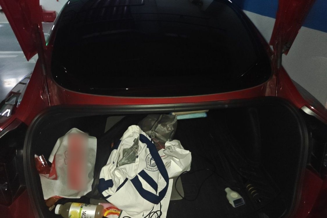 Tesla Model 3 2020 immagine di auto #8