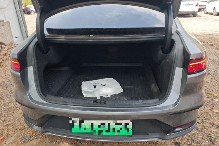 BYD Han 2022 imagen de coche #21