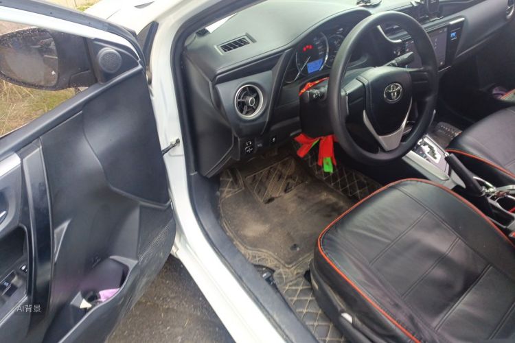 Toyota Corolla 2019 #18 Toyota Corolla 2019 car image #18
