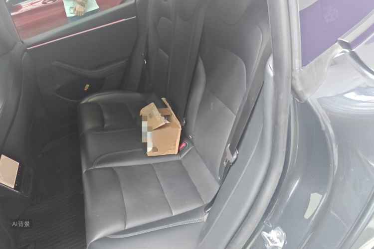Tesla Model 3 2024 car image #19