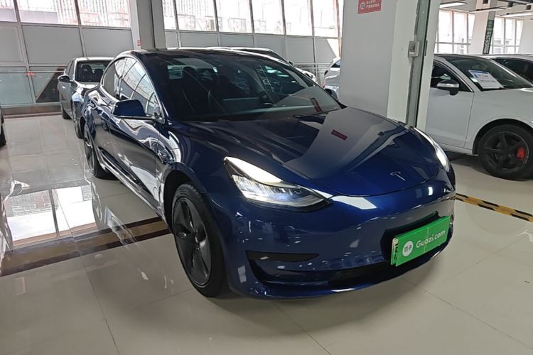 Tesla Model 3 2020 car image #4