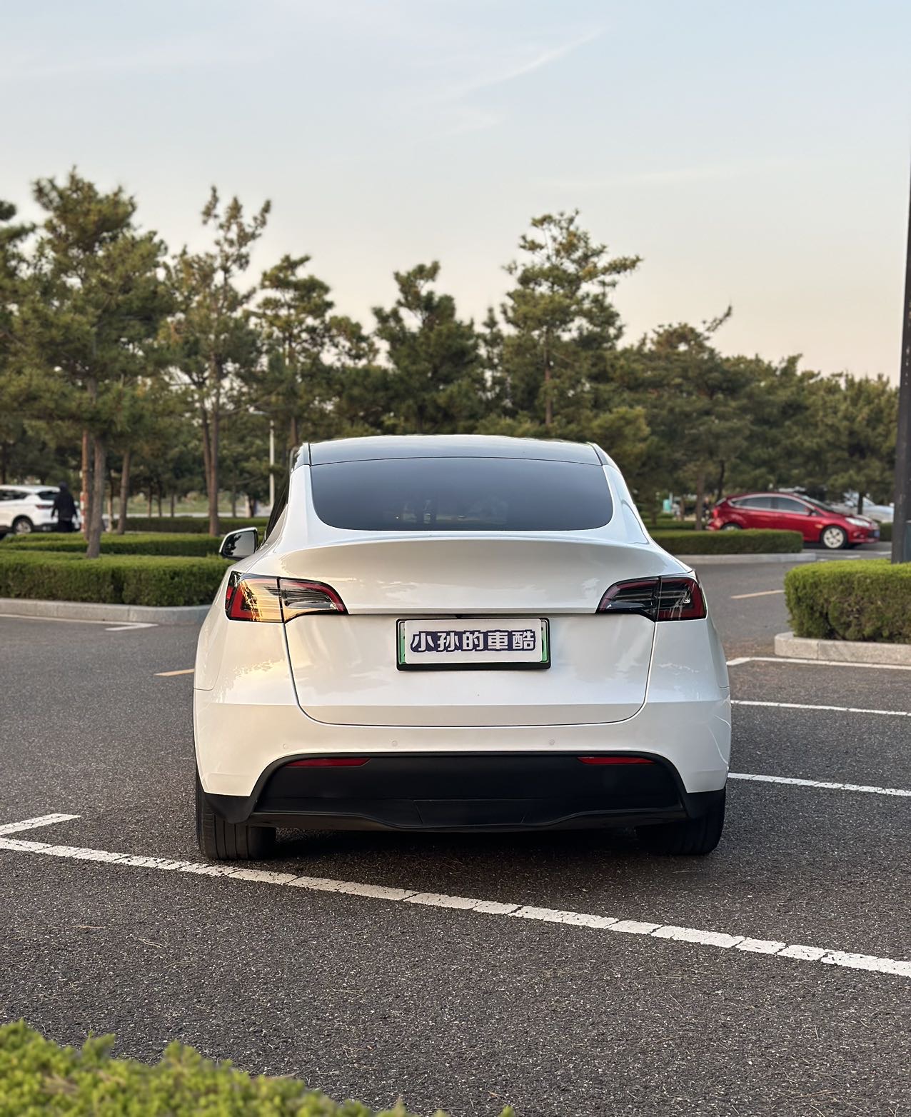 Tesla Model Y 2022 car image #6