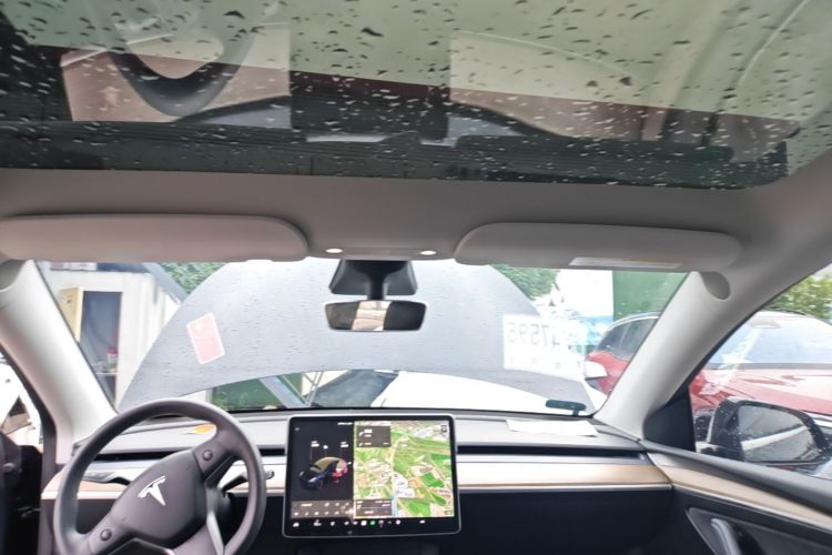 Tesla Model Y 2021 car image #18