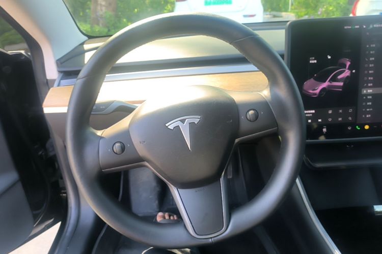 Tesla Model 3 2020 imagem de carro #11