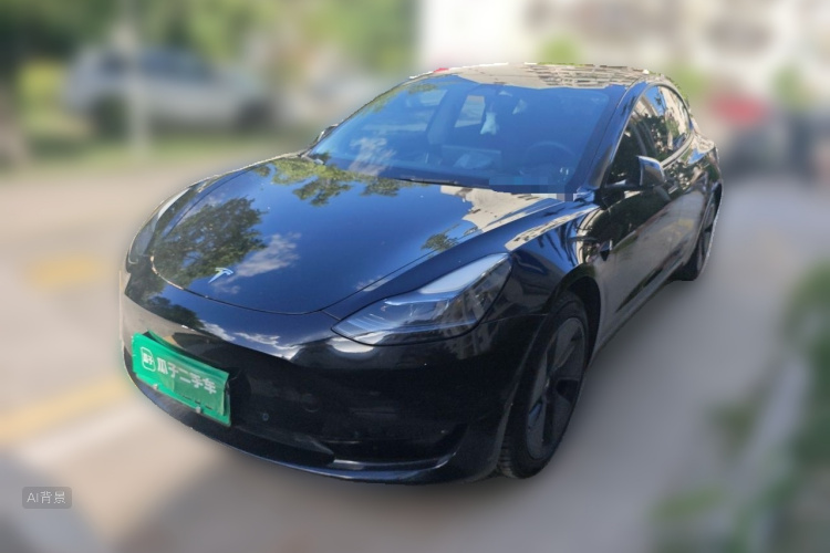 Tesla Model 3 2023 #2 Tesla Model 3 2023 car image #2