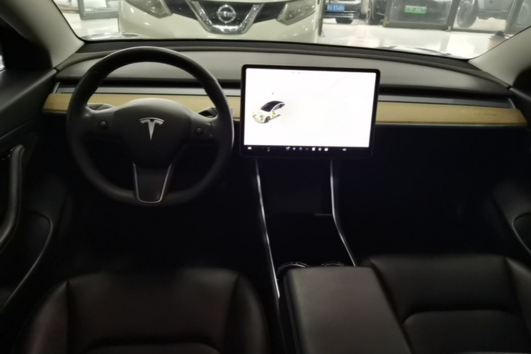 Tesla Model 3 2020 car image #10