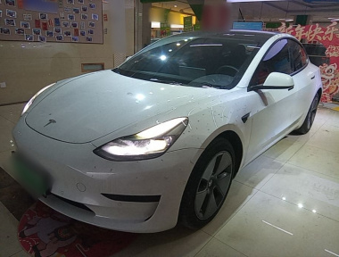 Tesla Model 3 2021 car image 