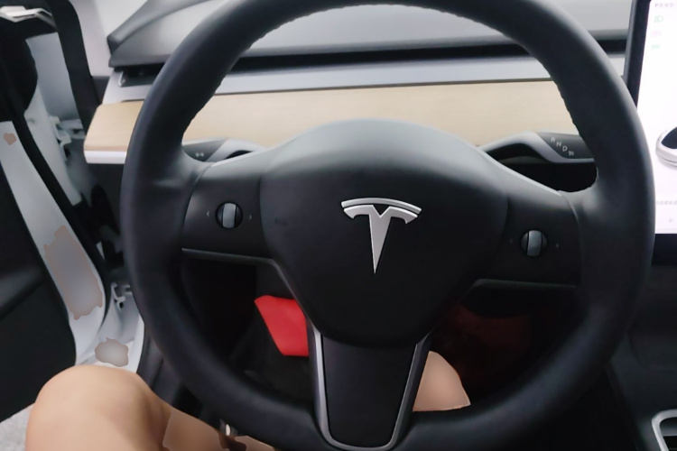 Tesla Model 3 2021 car image #11