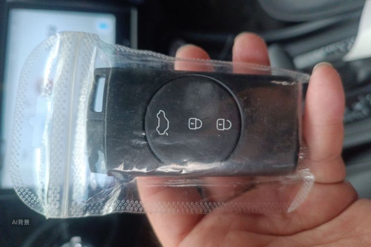Chery Tiggo 3x 2025 immagine di auto #10