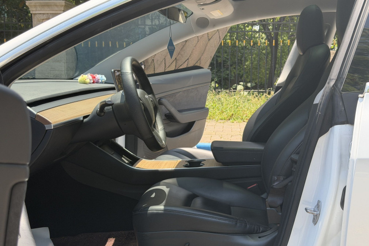 Tesla Model 3 2020 car image #15