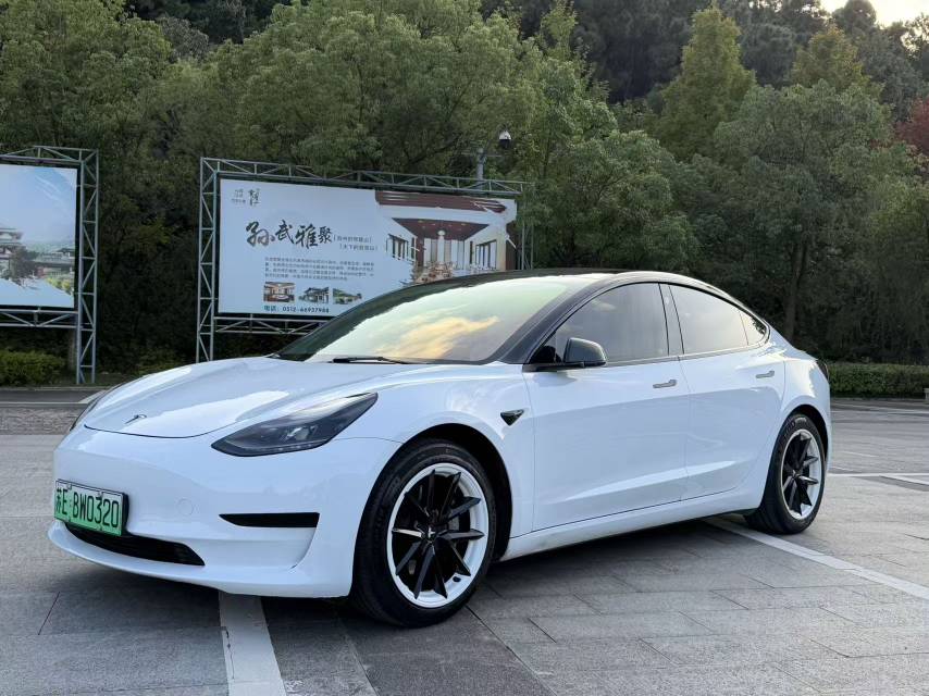 Tesla Model 3 2021 Tesla Model 3 2021 изображение автомобиля