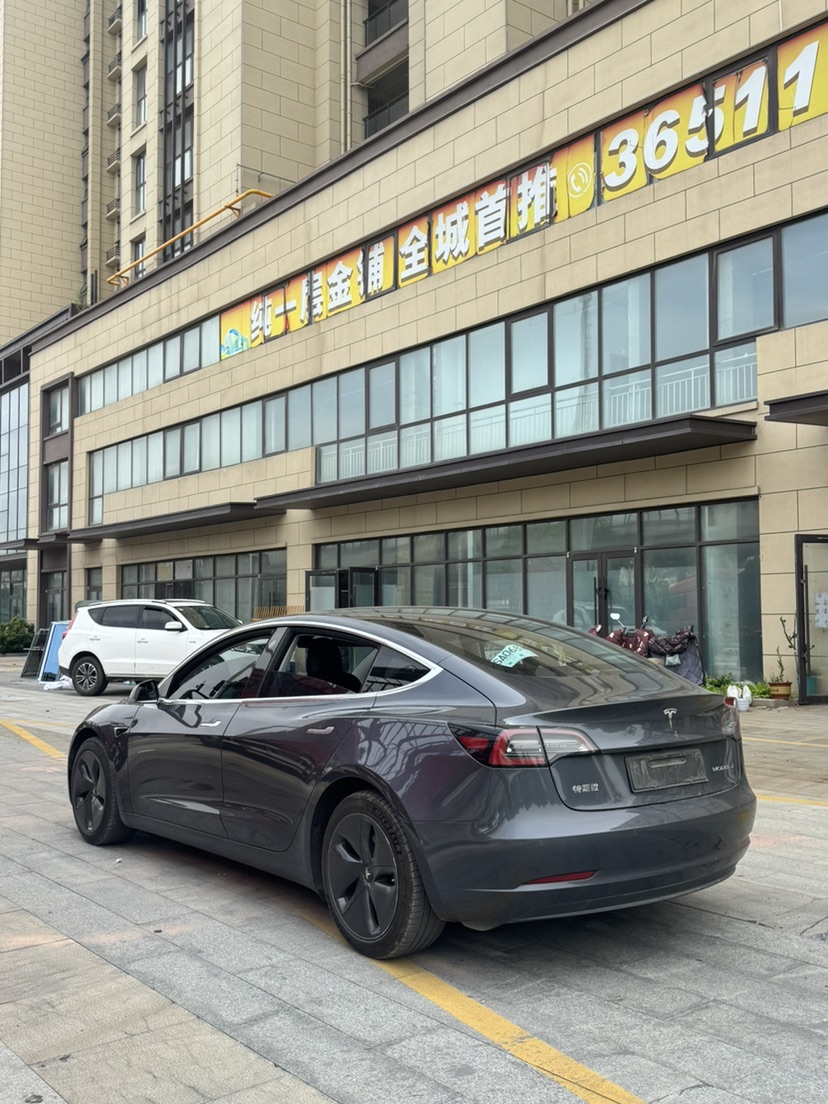 Tesla Model 3 2020 car image #8