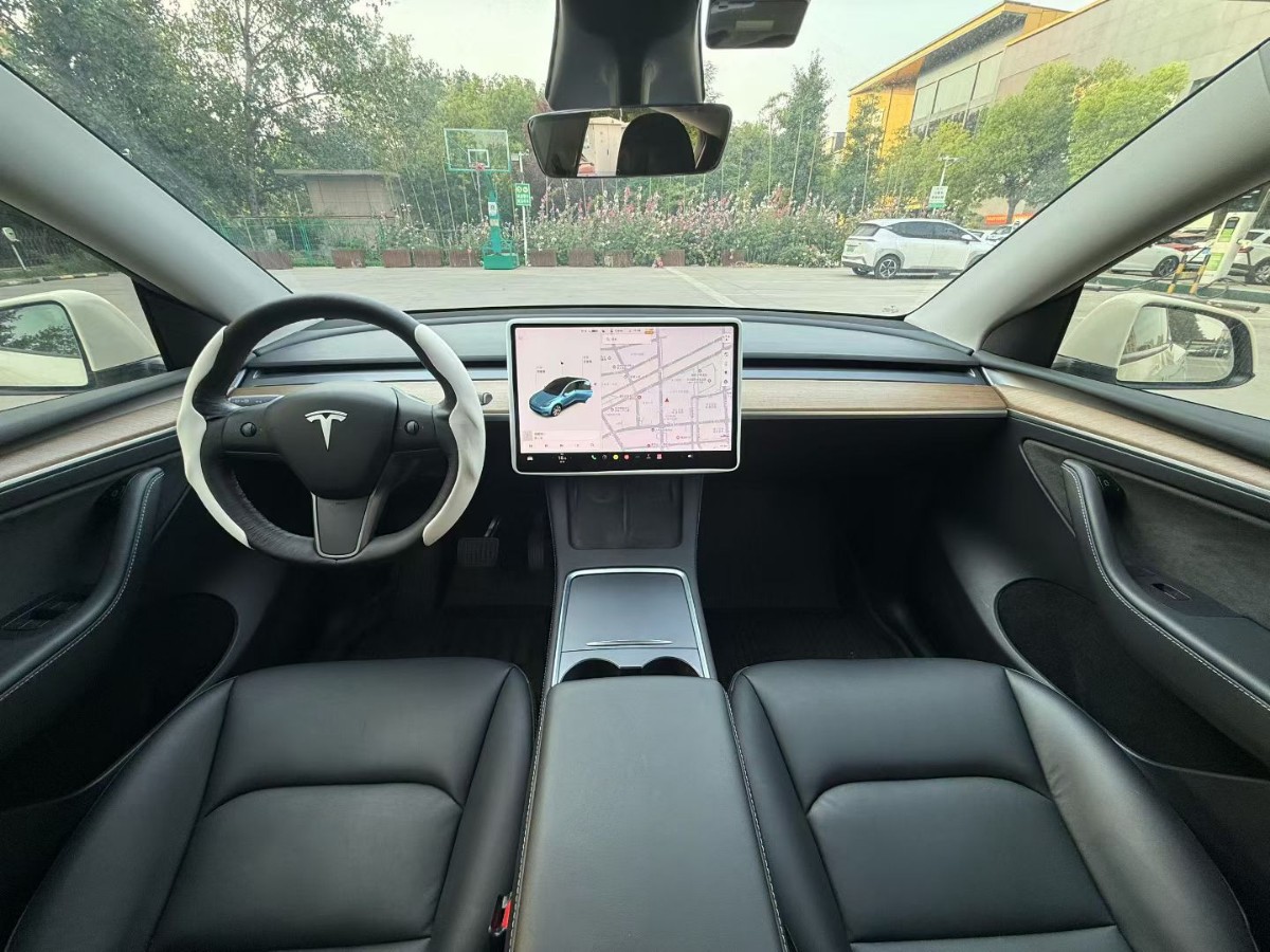 Tesla Model Y 2021 car image #6