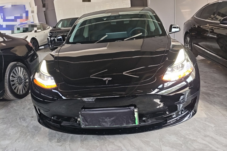 Tesla Model 3 2023 #3 Tesla Model 3 2023 car image #3