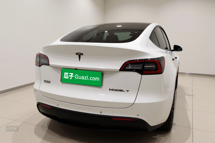 Tesla Model Y 2022 car image #6