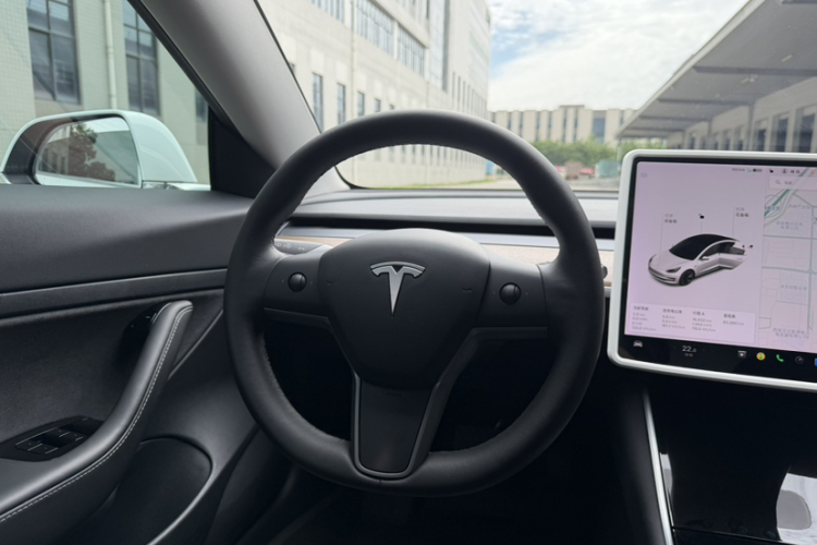 Tesla Model 3 2020 car image #16