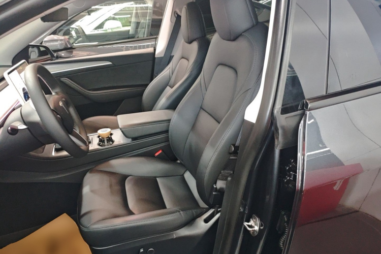 Tesla Model Y 2024 car image #15