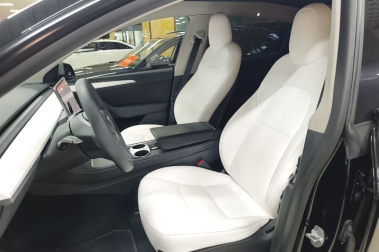 Tesla Model Y 2021 car image #19