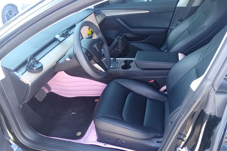 Tesla Model 3 2022 #19 Tesla Model 3 2022 immagine di auto #19