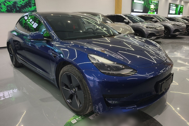 Tesla Model 3 2021 #4 Tesla Model 3 2021 car image #4