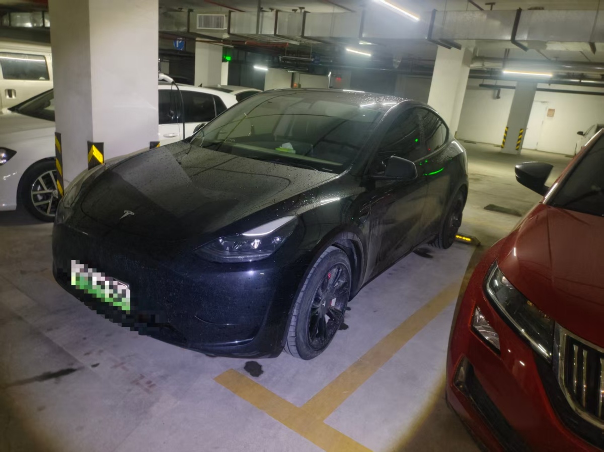 Tesla Model Y 2022 car image 