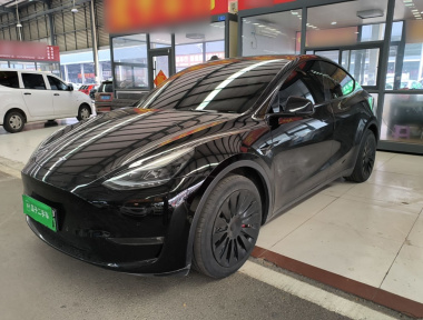 Tesla Model Y 2022 car image 