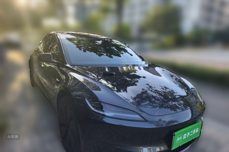 Tesla Model 3 2024 #4 Tesla Model 3 2024 car image #4