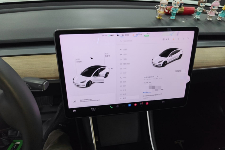 Tesla Model 3 2020 #13 Tesla Model 3 2020 car image #13