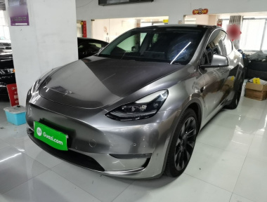 Tesla Model Y 2021 Tesla Model Y 2021 car image