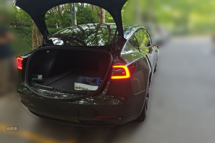Tesla Model 3 2021 #6 Tesla Model 3 2021 car image #6