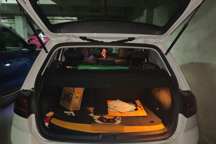Volkswagen Golf 2020 car image #17