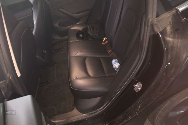 Tesla Model 3 2020 car image #19