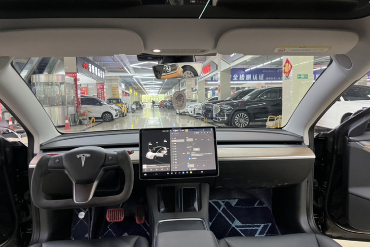 Tesla Model 3 2021 car image #20