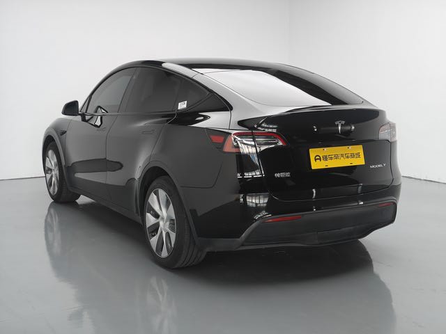 Tesla Model Y 2023 car image #6