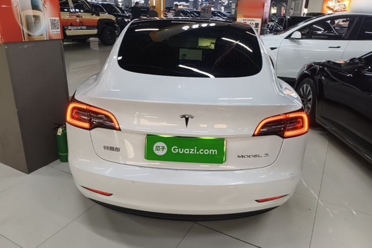 Tesla Model 3 2020 #6 Tesla Model 3 2020 car image #6