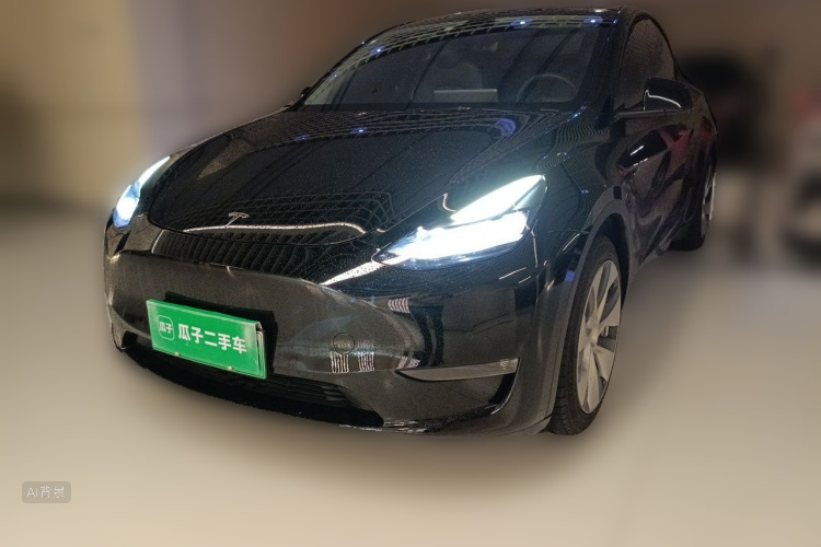 Tesla Model Y 2021 car image #2