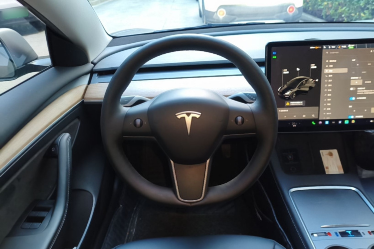 Tesla Model 3 2021 #15 Tesla Model 3 2021 immagine di auto #15