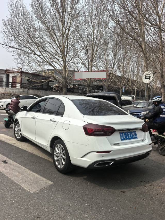 GEELY Emgrand 2021 imagen de coche #3