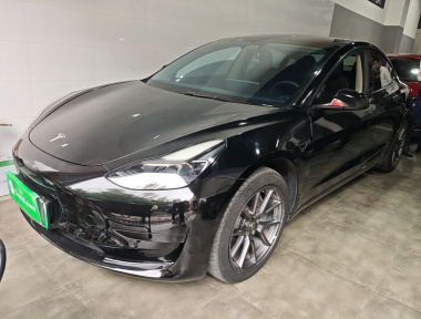Tesla Model 3 2021 immagine di auto 