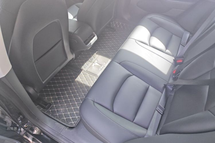 Tesla Model 3 2020 car image #12