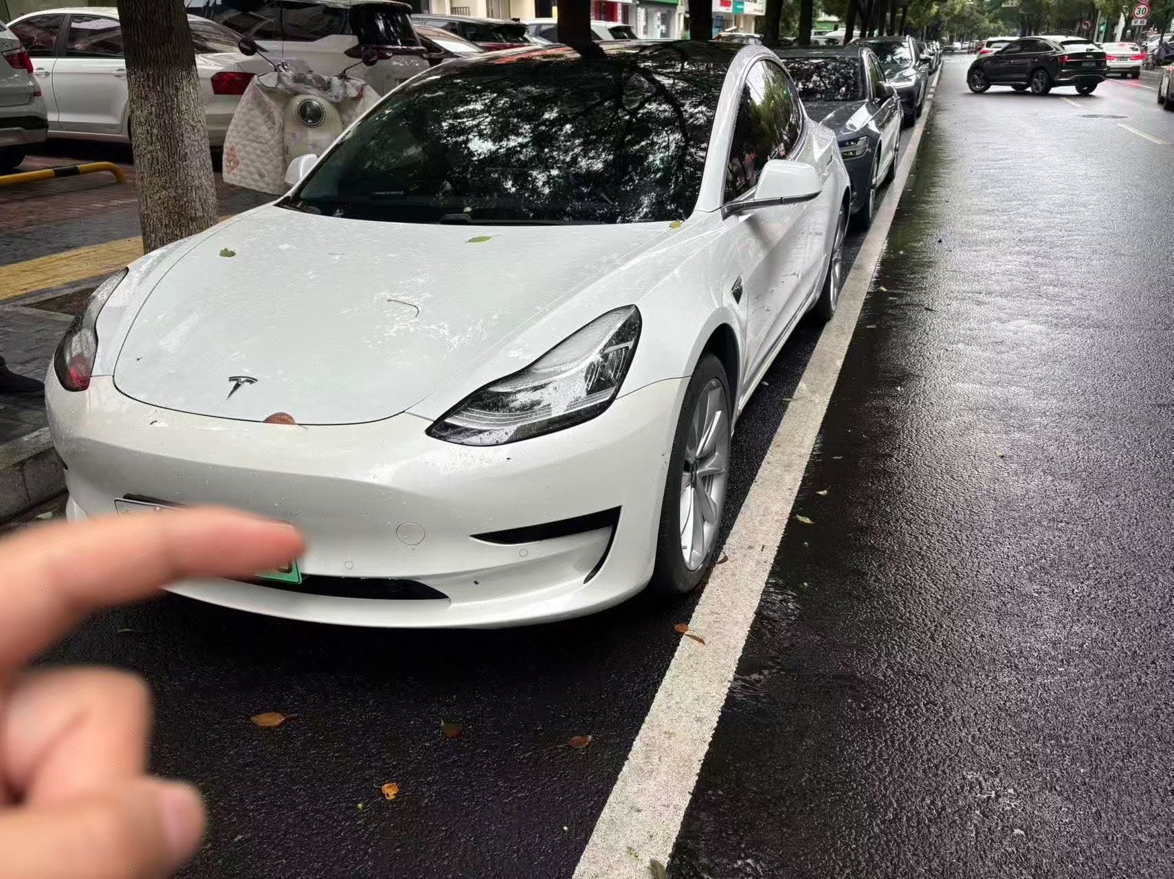 Tesla Model 3 2020 car image 