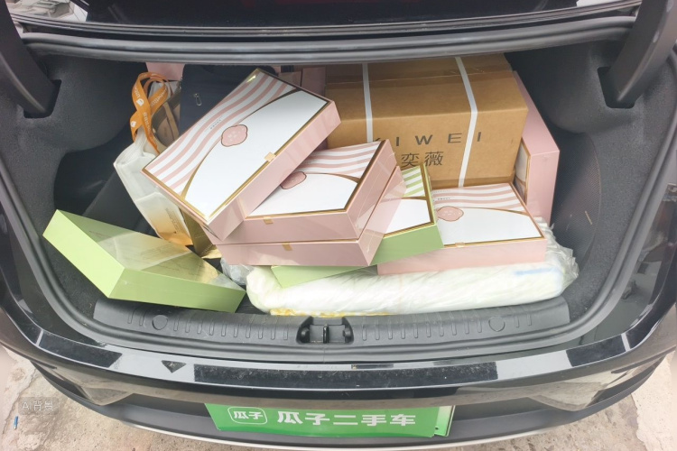 BYD Han 2023 car image #21