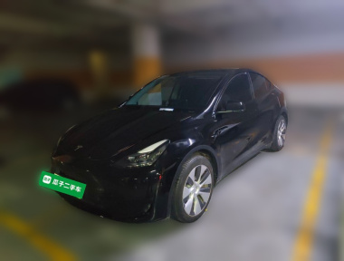 Tesla Model Y 2023 Tesla Model Y 2023 car image
