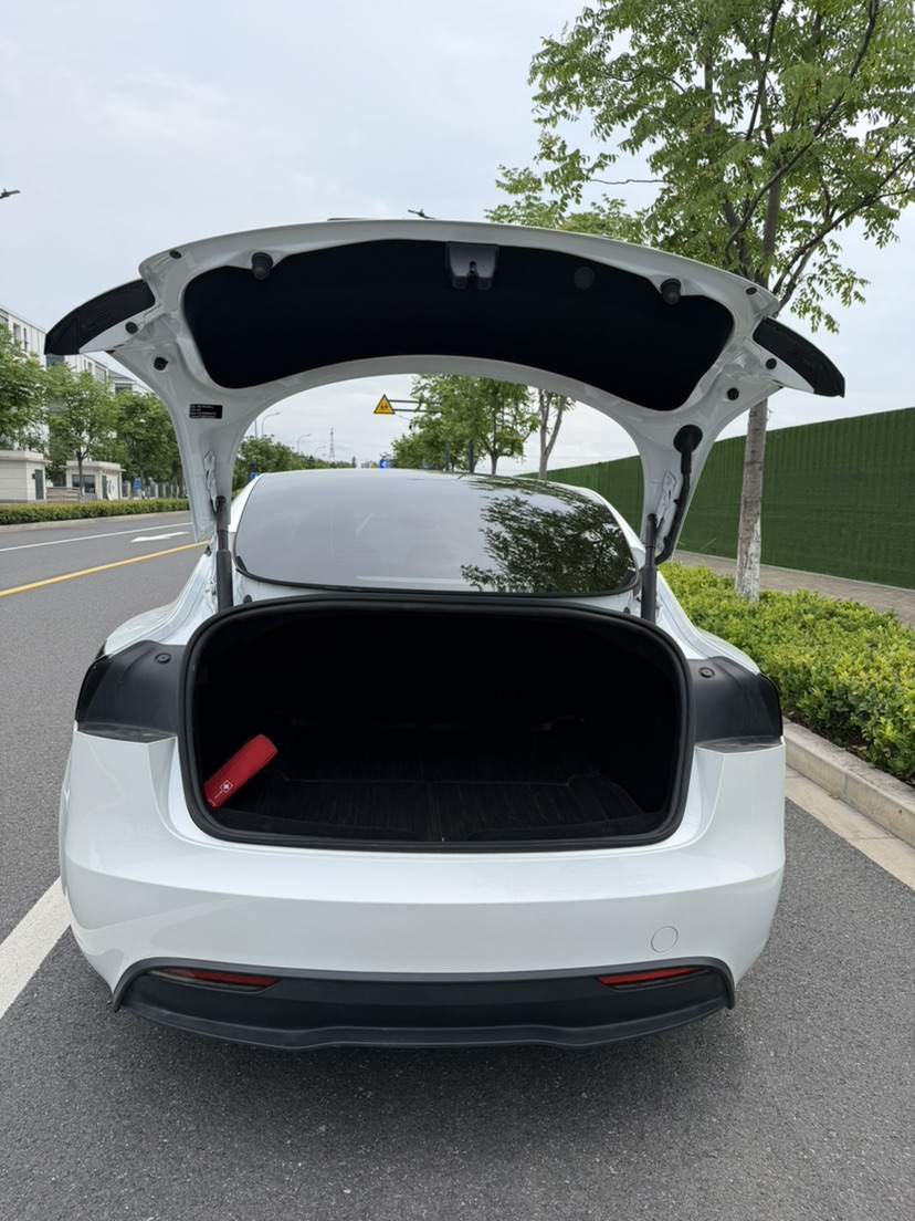Tesla Model 3 2024 #6 Tesla Model 3 2024 car image #6